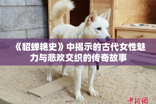 《貂蝉艳史》中揭示的古代女性魅力与悲欢交织的传奇故事