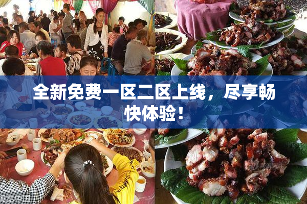 全新免费一区二区上线，尽享畅快体验！