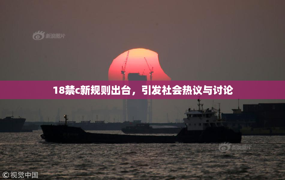18禁c新规则出台，引发社会热议与讨论