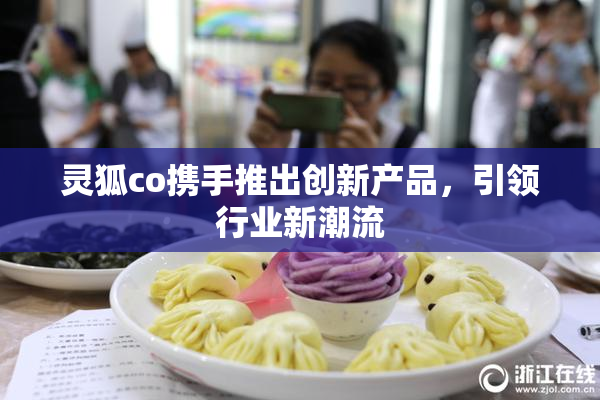 灵狐co携手推出创新产品，引领行业新潮流