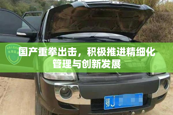 国产重拳出击，积极推进精细化管理与创新发展