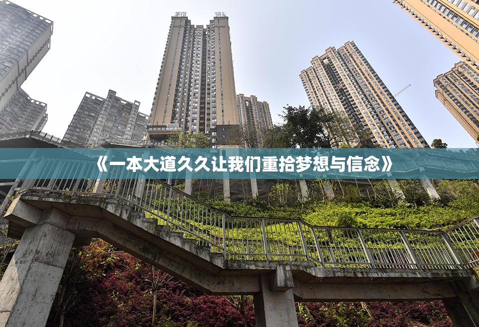 《一本大道久久让我们重拾梦想与信念》
