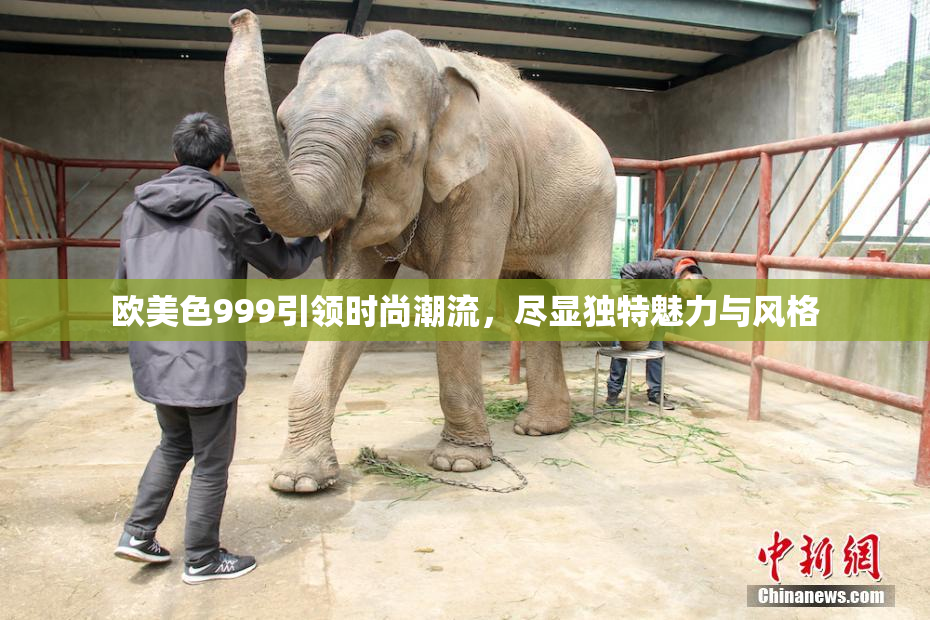 欧美色999引领时尚潮流，尽显独特魅力与风格