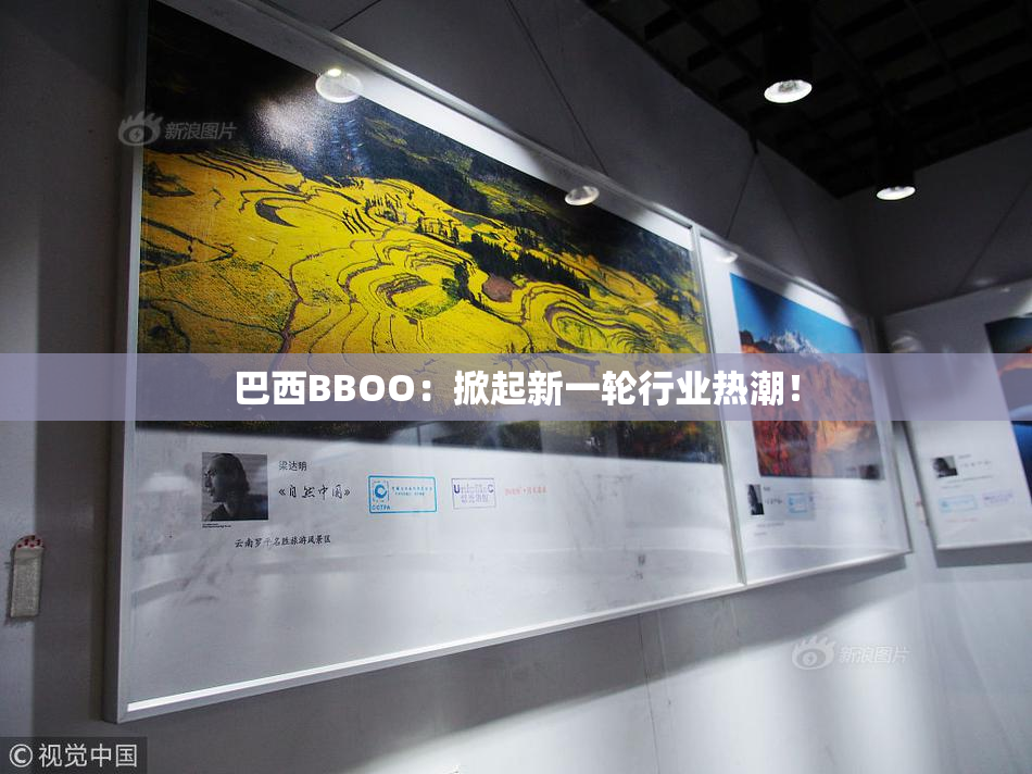 巴西BBOO：掀起新一轮行业热潮！