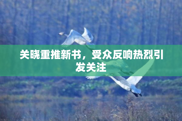 关晓重推新书，受众反响热烈引发关注