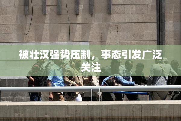 被壮汉强势压制，事态引发广泛关注