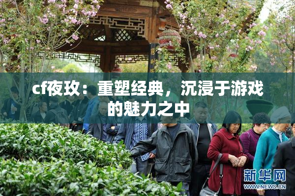 cf夜玫：重塑经典，沉浸于游戏的魅力之中