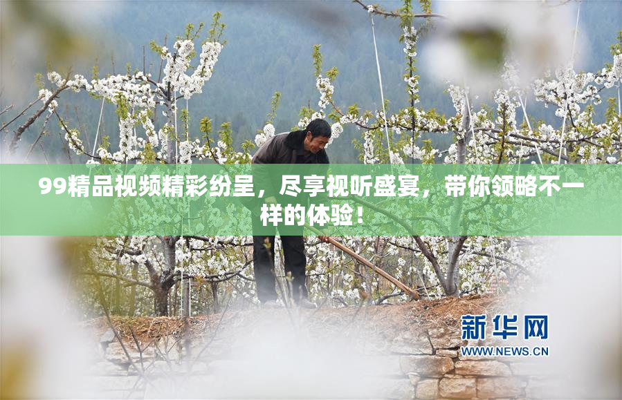 99精品视频精彩纷呈，尽享视听盛宴，带你领略不一样的体验！