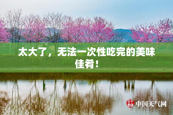 太大了，无法一次性吃完的美味佳肴！
