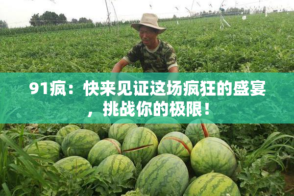 91疯：快来见证这场疯狂的盛宴，挑战你的极限！