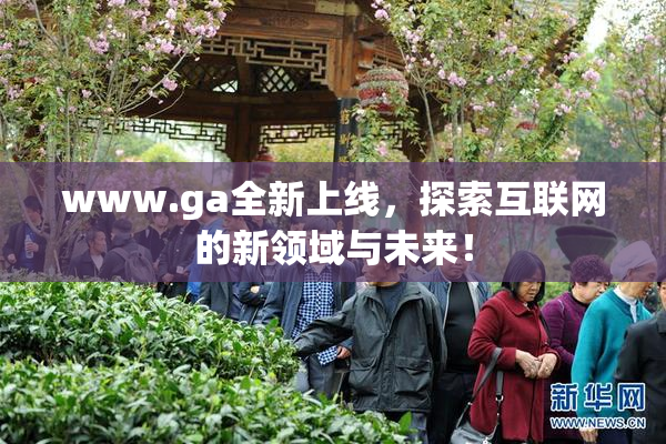 www.ga全新上线，探索互联网的新领域与未来！