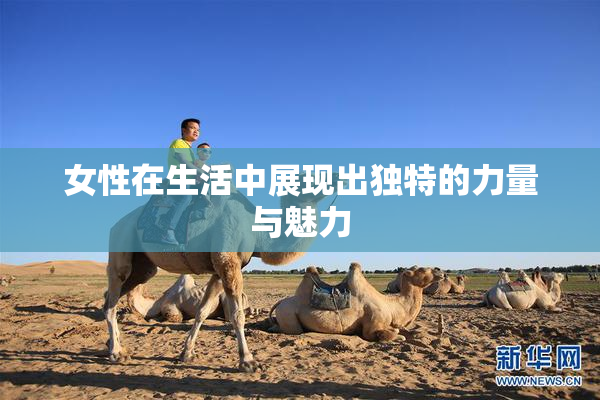 女性在生活中展现出独特的力量与魅力
