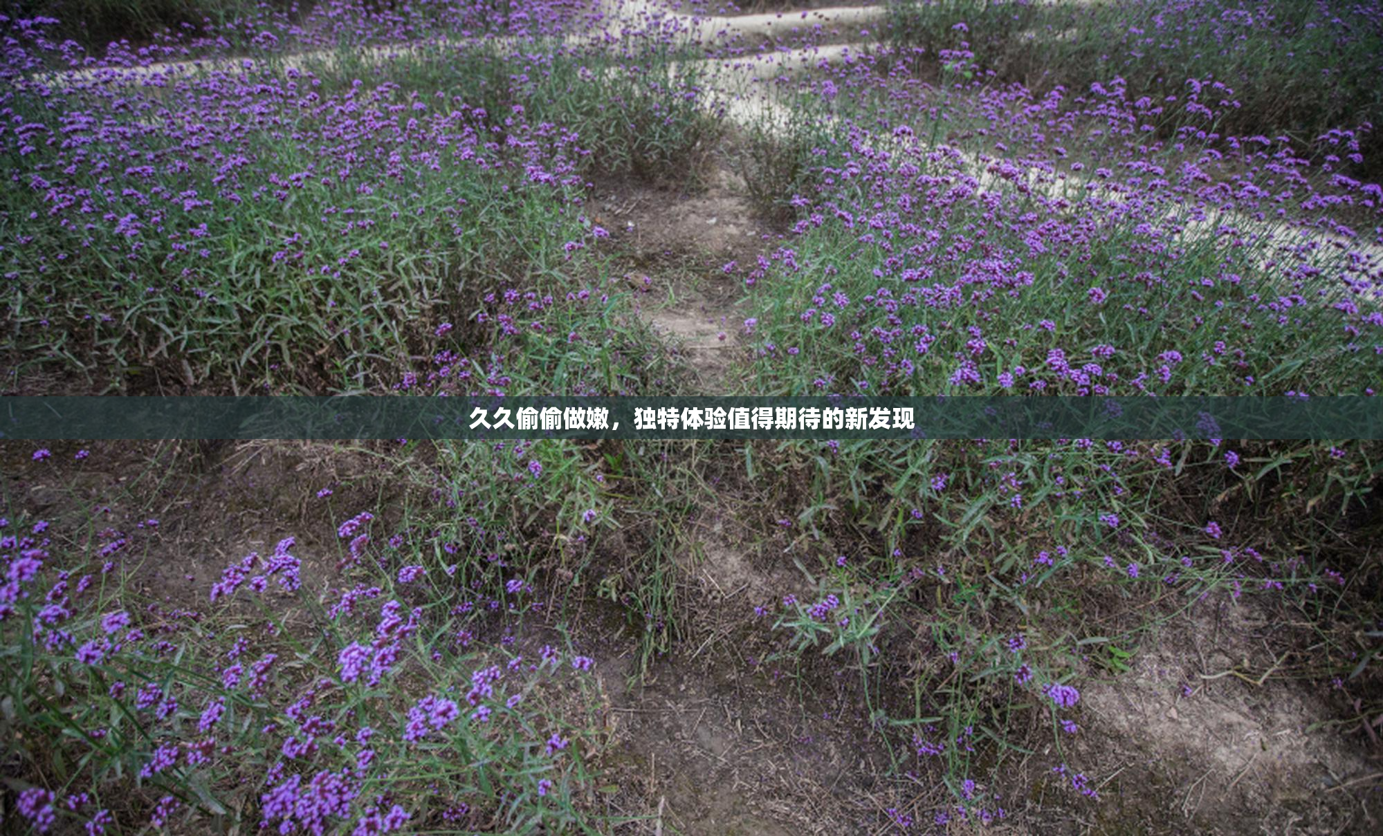 久久偷偷做嫩，独特体验值得期待的新发现