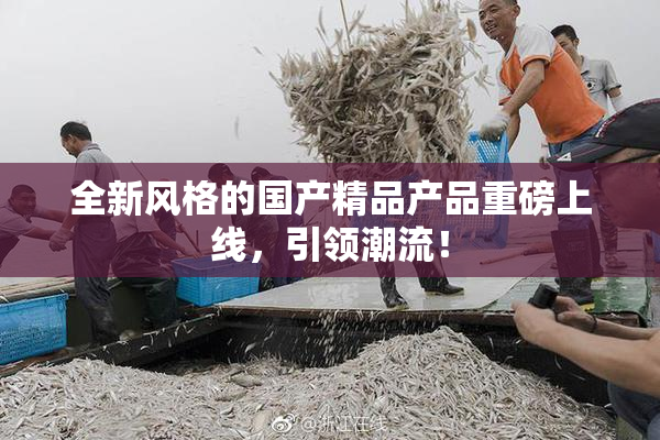 全新风格的国产精品产品重磅上线，引领潮流！