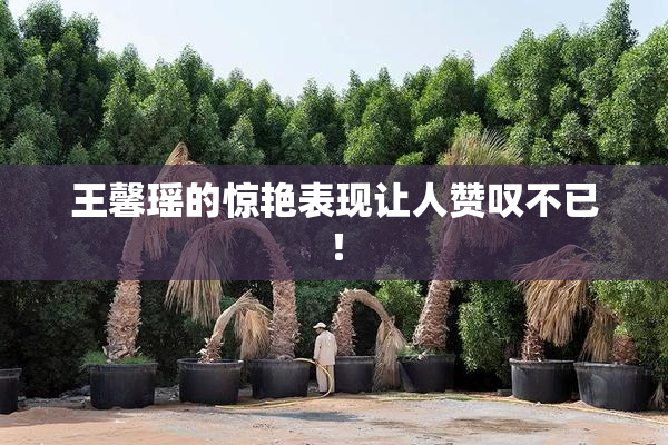 王馨瑶的惊艳表现让人赞叹不已！