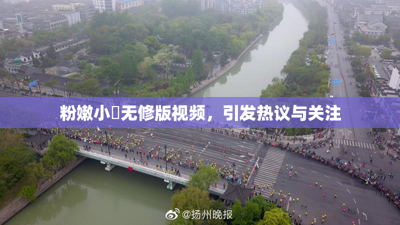 粉嫩小泬无修版视频，引发热议与关注
