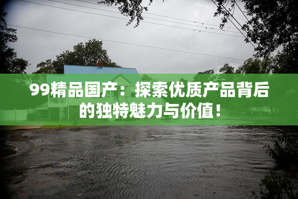 99精品国产：探索优质产品背后的独特魅力与价值！