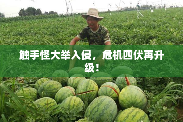 触手怪大举入侵，危机四伏再升级！