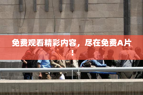 免费观看精彩内容，尽在免费A片！