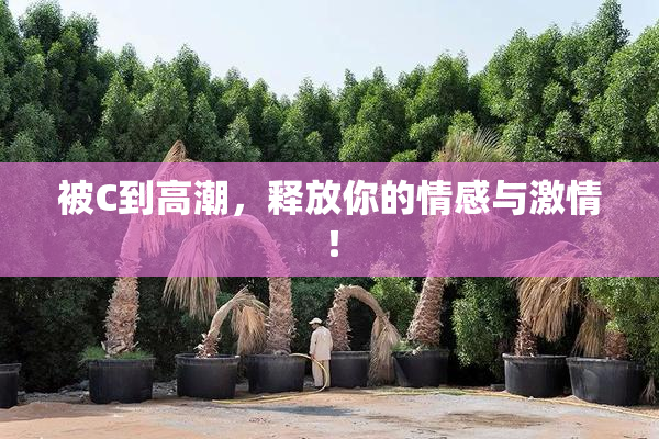 被C到高潮，释放你的情感与激情！