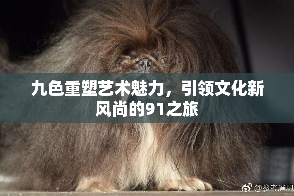 九色重塑艺术魅力，引领文化新风尚的91之旅