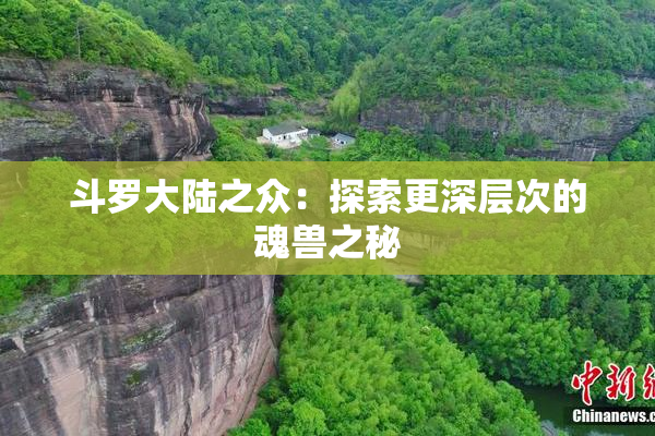 斗罗大陆之众：探索更深层次的魂兽之秘