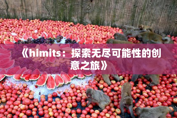 《himits：探索无尽可能性的创意之旅》