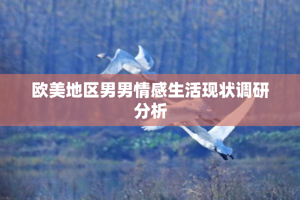 欧美地区男男情感生活现状调研分析