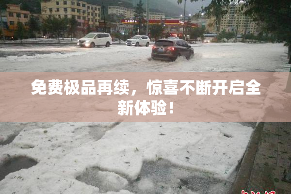 免费极品再续，惊喜不断开启全新体验！