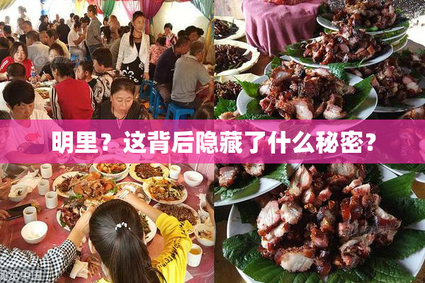 明里？这背后隐藏了什么秘密？