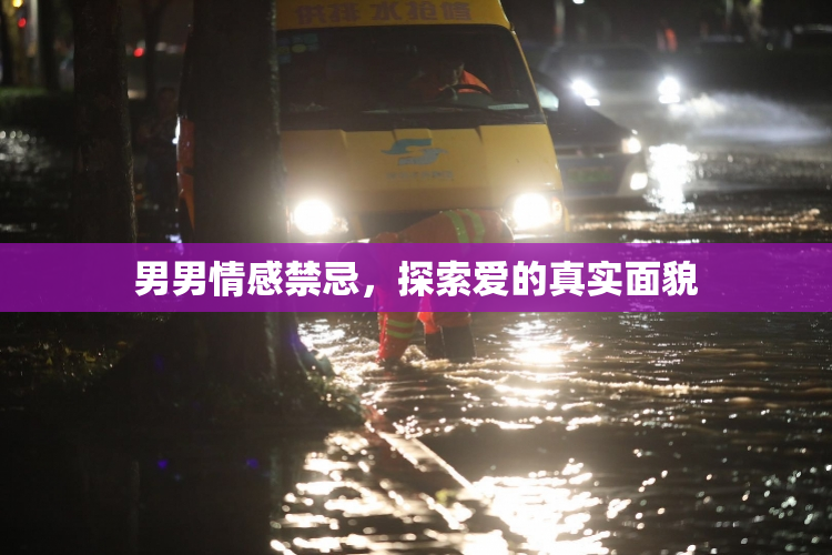 男男情感禁忌，探索爱的真实面貌