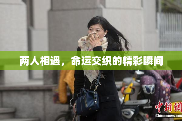 两人相遇，命运交织的精彩瞬间