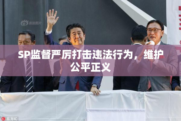 SP监督严厉打击违法行为，维护公平正义