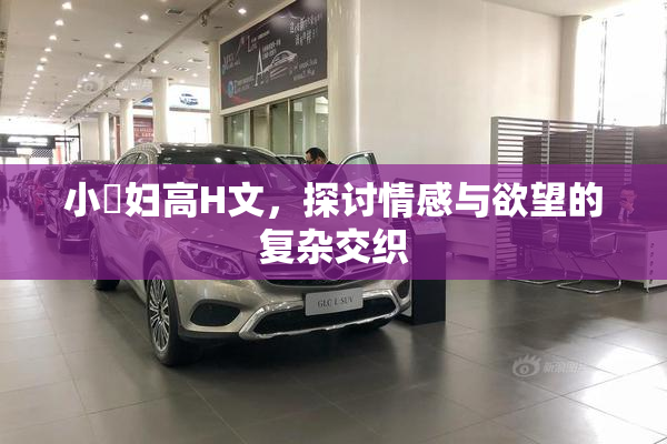 小婬妇高H文，探讨情感与欲望的复杂交织