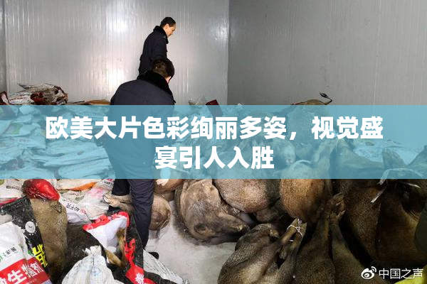 欧美大片色彩绚丽多姿，视觉盛宴引人入胜