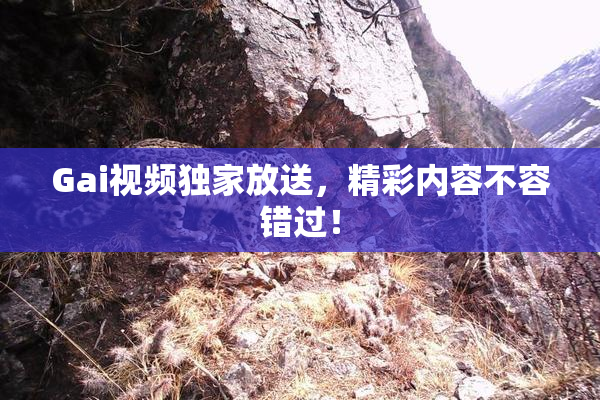Gai视频独家放送，精彩内容不容错过！