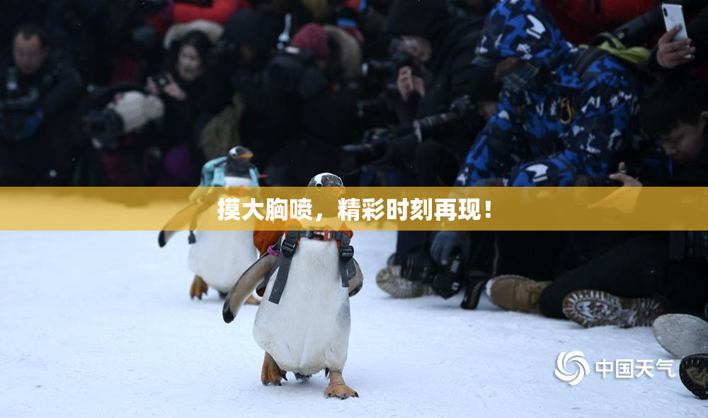 摸大胸喷，精彩时刻再现！