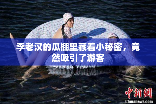 李老汉的瓜棚里藏着小秘密，竟然吸引了游客