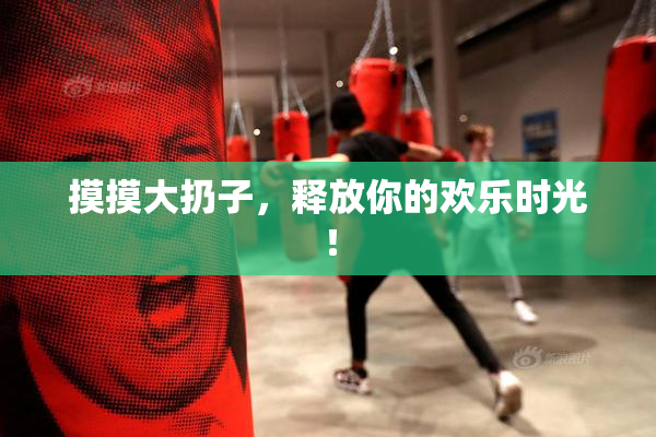 摸摸大扔子，释放你的欢乐时光！