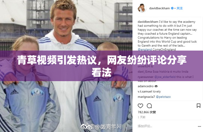 青草视频引发热议，网友纷纷评论分享看法