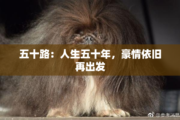 五十路：人生五十年，豪情依旧再出发