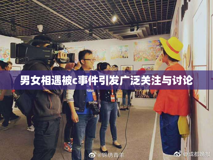 男女相遇被c事件引发广泛关注与讨论