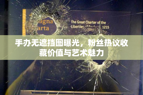 手办无遮挡图曝光，粉丝热议收藏价值与艺术魅力