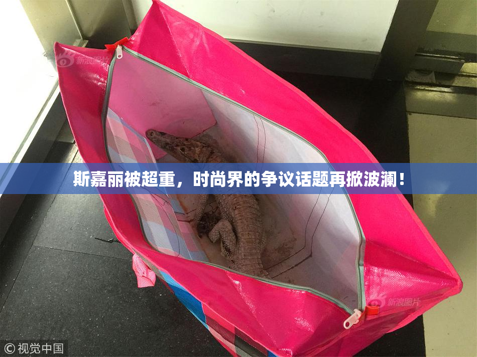 斯嘉丽被超重，时尚界的争议话题再掀波澜！