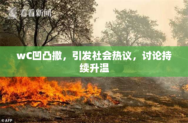 wC凹凸撒，引发社会热议，讨论持续升温