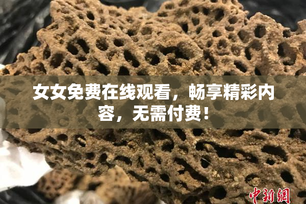 女女免费在线观看，畅享精彩内容，无需付费！