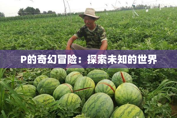 P的奇幻冒险：探索未知的世界