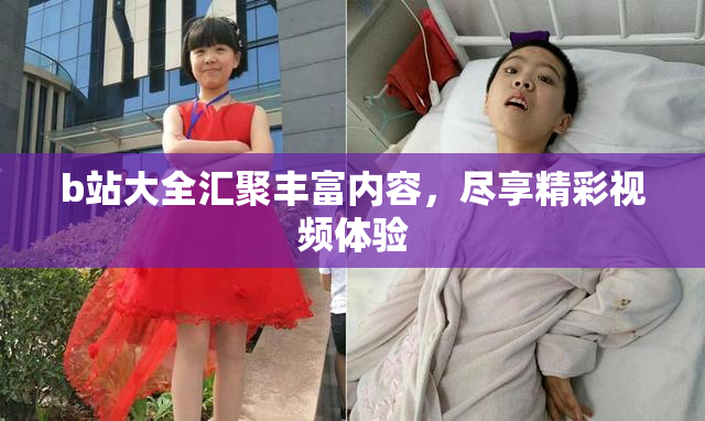 b站大全汇聚丰富内容，尽享精彩视频体验