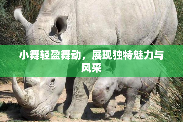 小舞轻盈舞动，展现独特魅力与风采