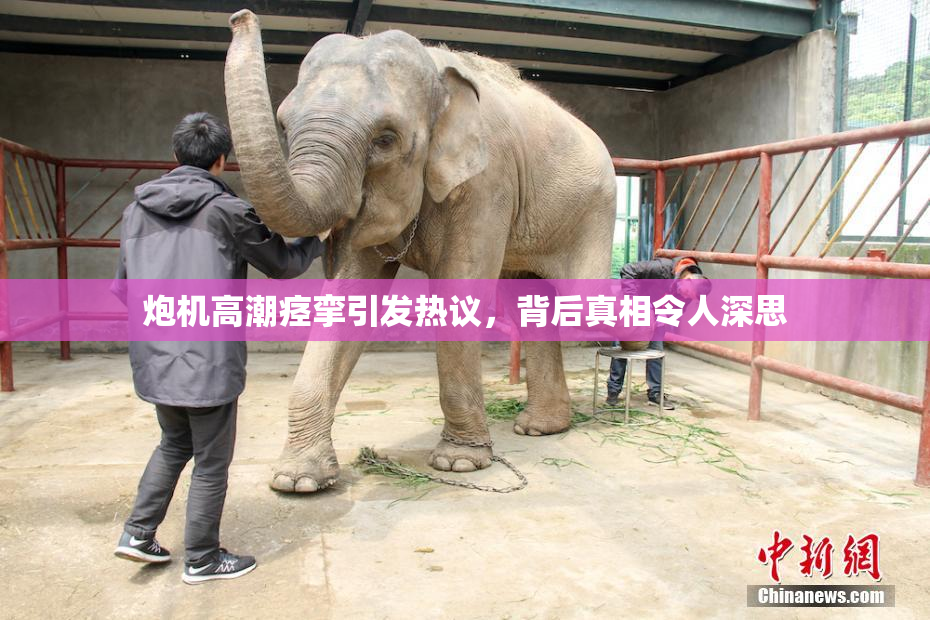 炮机高潮痉挛引发热议，背后真相令人深思